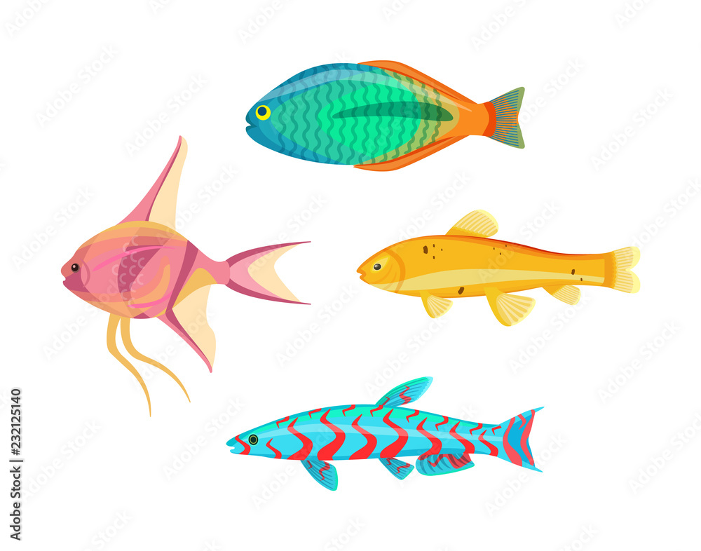 Betta Splendens Fish Types Set Vector Illustration