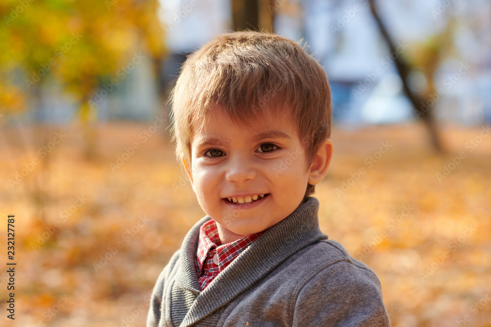 Child boy is in autumn city park. Bright yellow trees. Child boy is in autumn city park. Bright yellow trees.