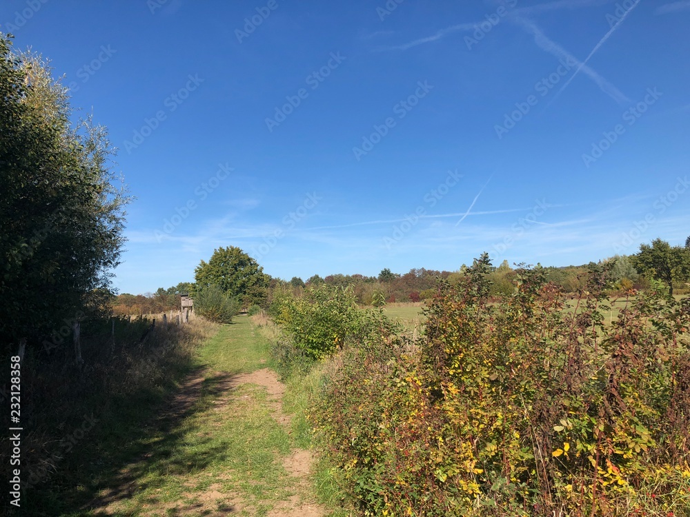 Fototapeta premium Windflöte Landschaft 