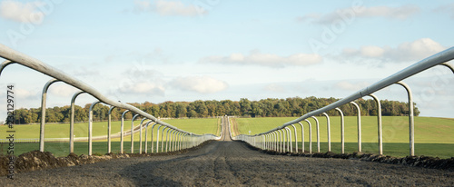 Looking up the training gallops on Newmarket Heath, Suffolk, UK
