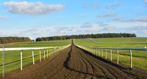 Looking up the training gallops - Newmarket Heath, Suffolk, UK