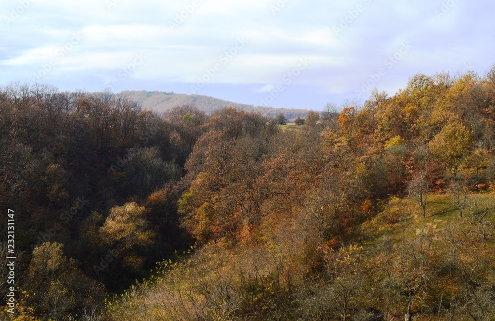 landscape in autumn landscape in autumn
