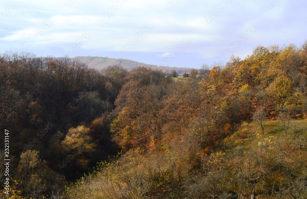 landscape in autumn