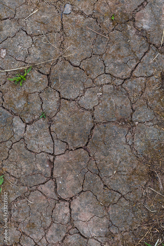 cracked soil texture