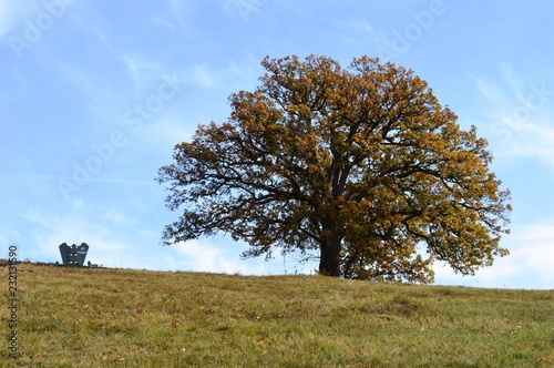 a tombstone and a tree on a hill 