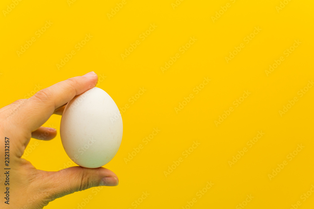 chicken white egg in hand on yellow background chicken white egg in hand on yellow background