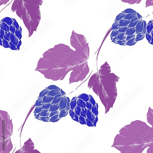Black and white engraved humulus ink art. Purple leaf. Leaf plan