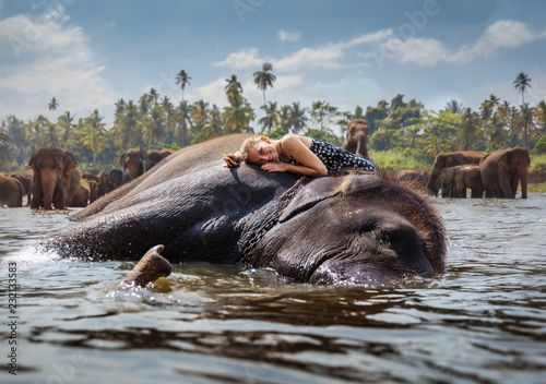 The woman wach her best friend elephant with love and stay in the great relationship. photo
