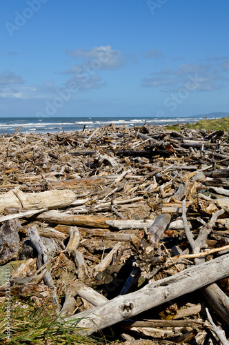 Washed Up driftwood on the Beach at Bandon, Oregon. © David