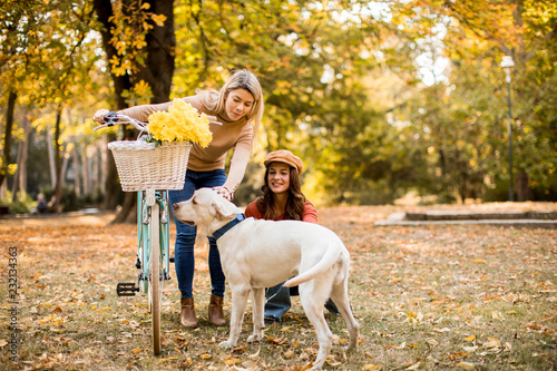 Two female friends walking in the autumn park with dog and bicycle © BGStock72