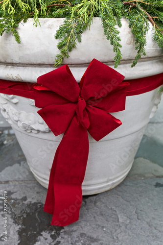 Christmas bow on a pot