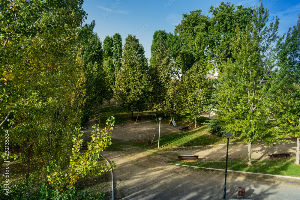 Obraz premium park with trees and benches along riverbank