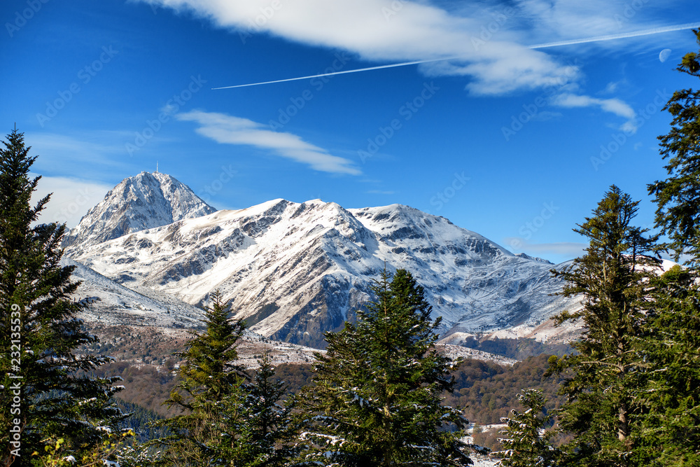 fir trees in french pyrenees mountains with Pic du Midi de Bigorre in background