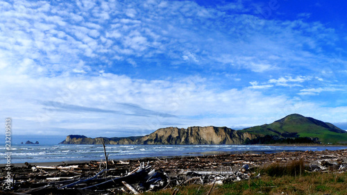 Beach in New Zealand