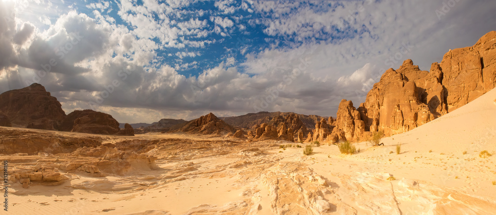 Panorama Sand desert Sinai, Egypt, Africa
