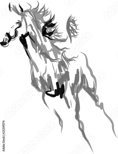 Rider with horse jump over the hurdle