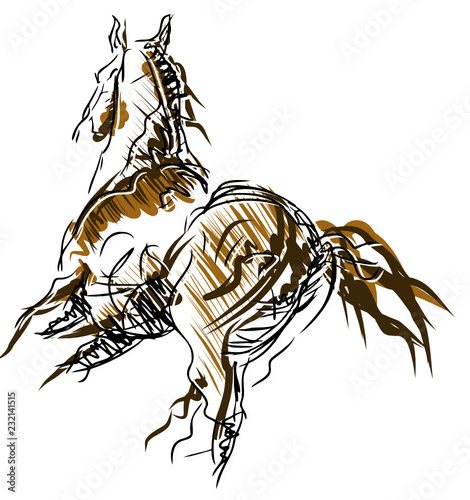 Rider with horse jump over the hurdle