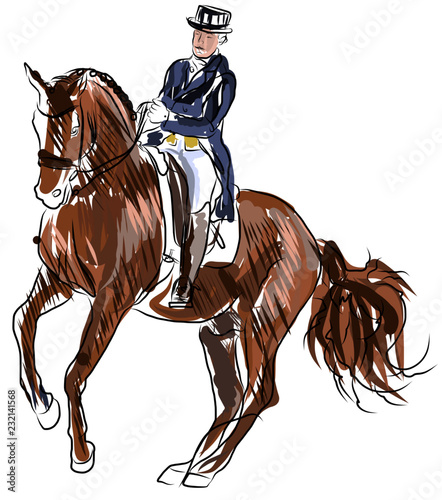 horse jumping obstacles during equestrian