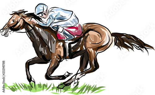 horse jumping obstacles during equestrian