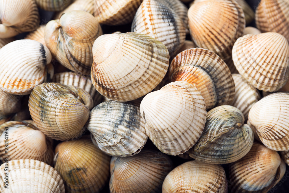 Fresh Cockles Seafood background. Cerastoderma edulis. Bivalve mollusc from Atlantic coast. Galicia Spain Fresh Cockles Seafood background. Cerastoderma edulis. Bivalve mollusc from Atlantic coast. Galicia Spain