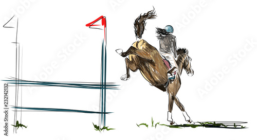 horse jumping obstacles during equestrian