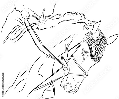 Rider with horse jump over the hurdle