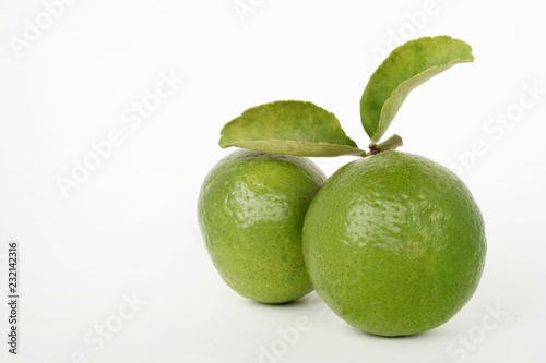 Lime on white background.