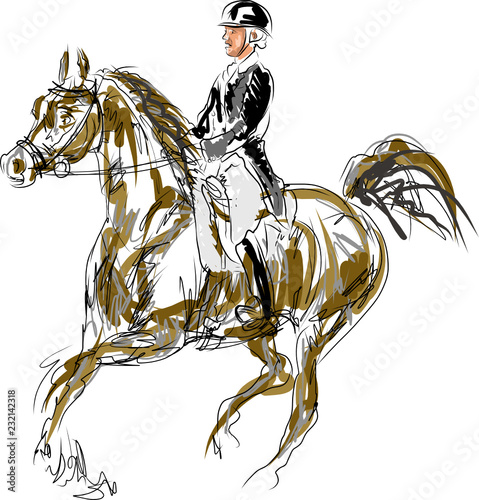 horse jumping obstacles during equestrian
