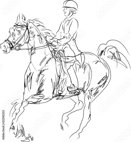 horse jumping obstacles during equestrian