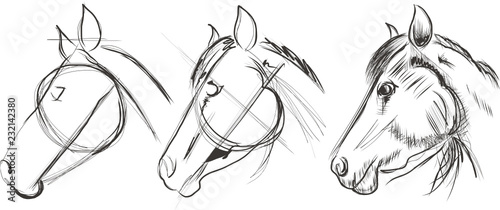 Rider with horse jump over the hurdle