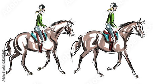 training Horse riding Equestrian sport  Jockey riding jumping horse