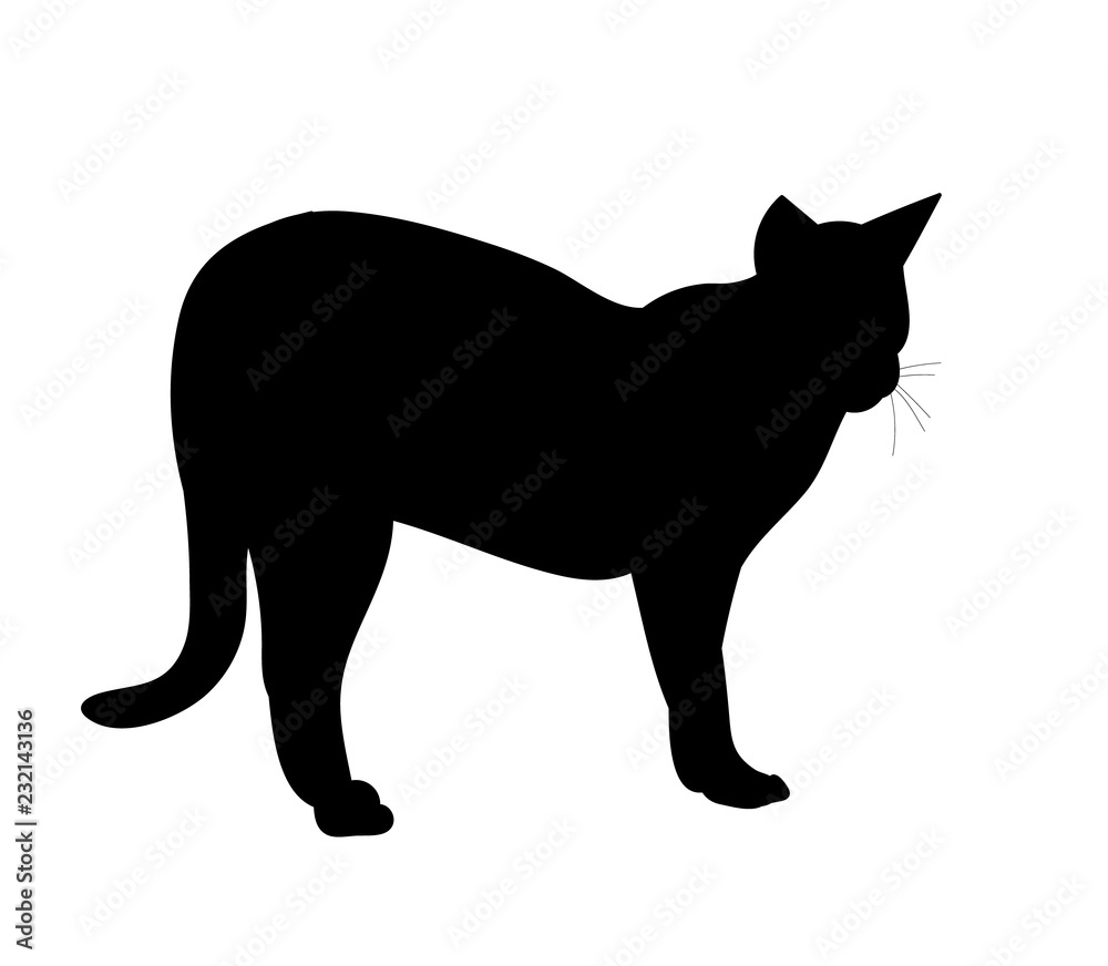 vector, isolated, black silhouette of a cat is standing