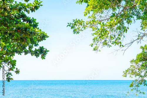 Tree and sea.Background