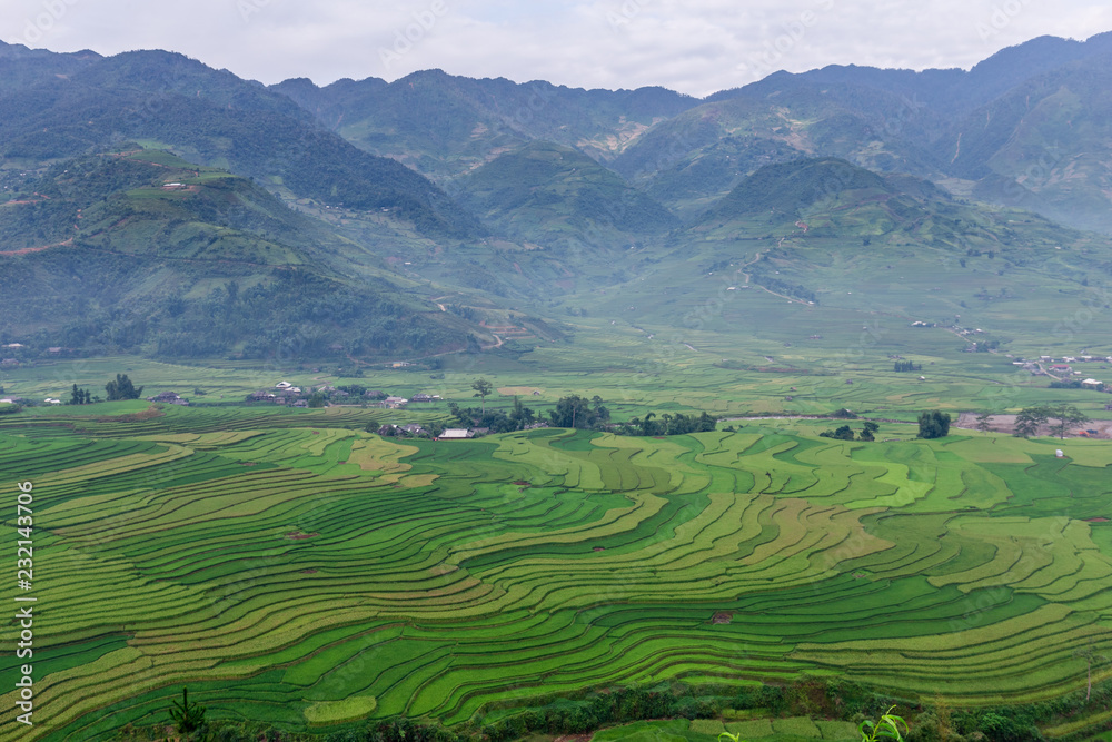 Terraced rice fields in Mu Cang Chai, Vietnam