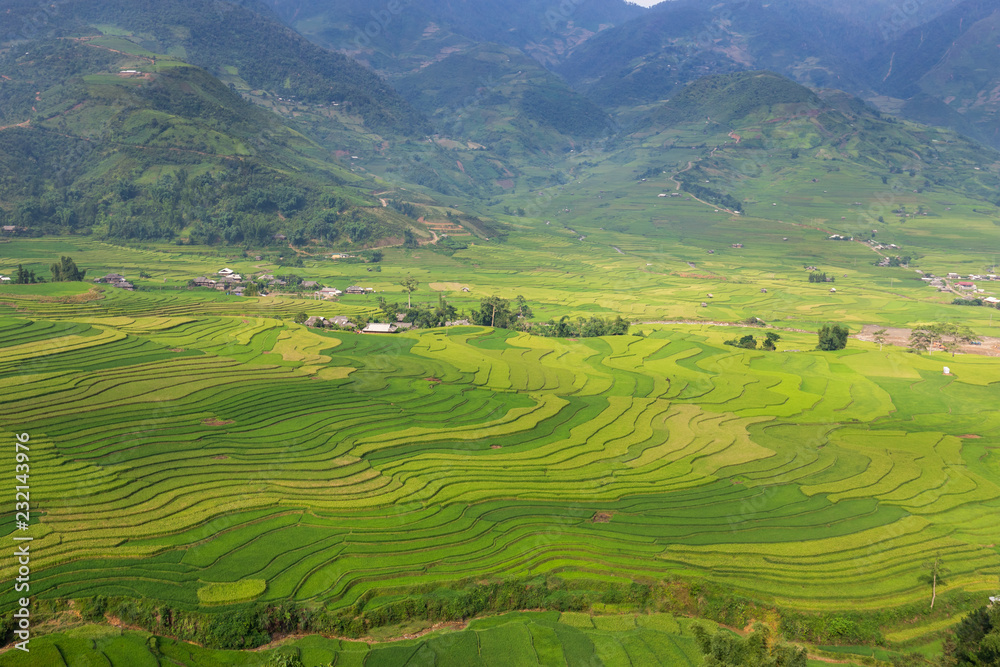 
terraces rice field in Mu cang chai, Yen bai, Vietnam