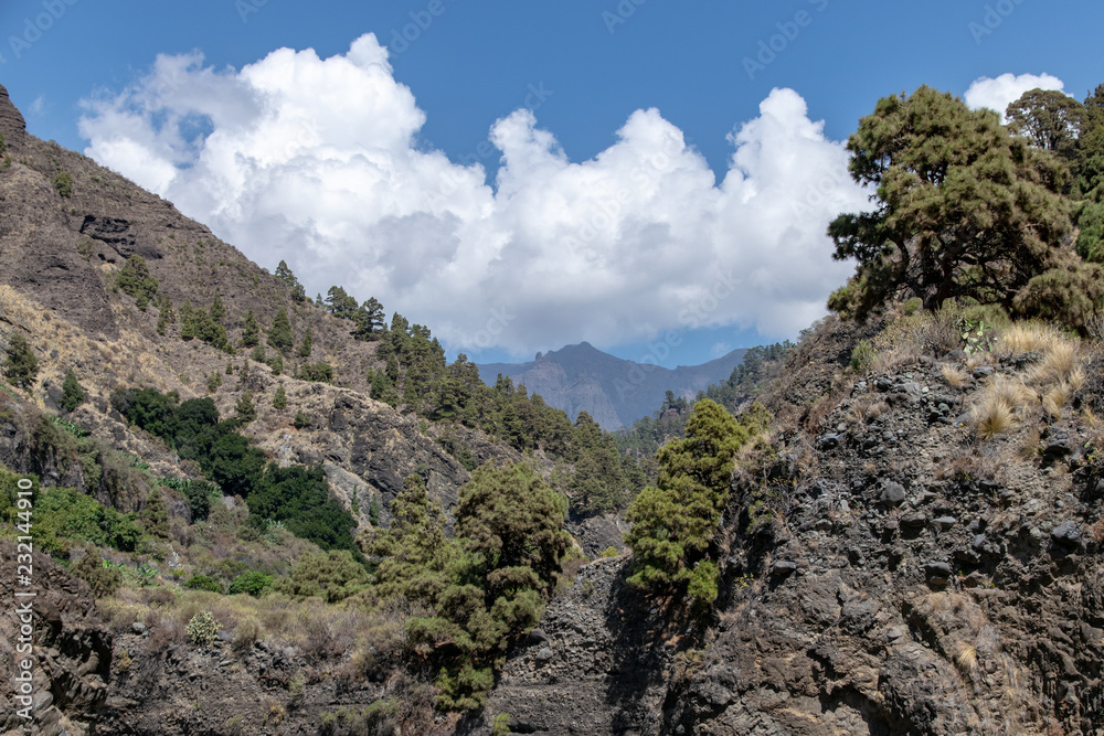 Volcanic landscape of La Palma Island, Canaries, looking towards the crater of the volcano - Caldera de Taburiente Volcanic landscape of La Palma Island, Canaries, looking towards the crater of the volcano - Caldera de Taburiente