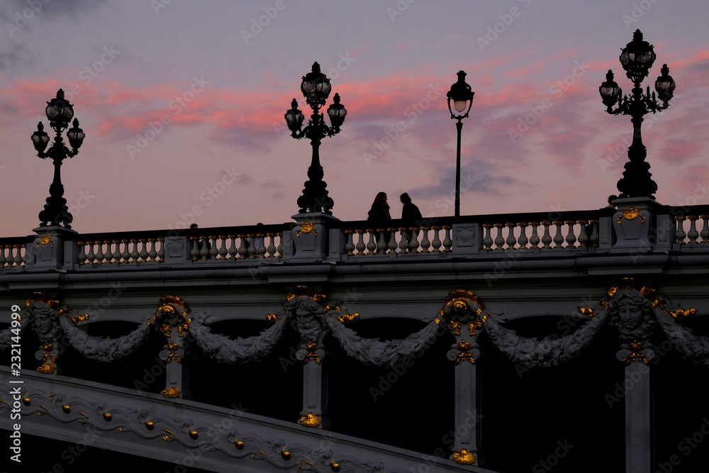 Fototapeta premium Pont Alexandre III in Paris