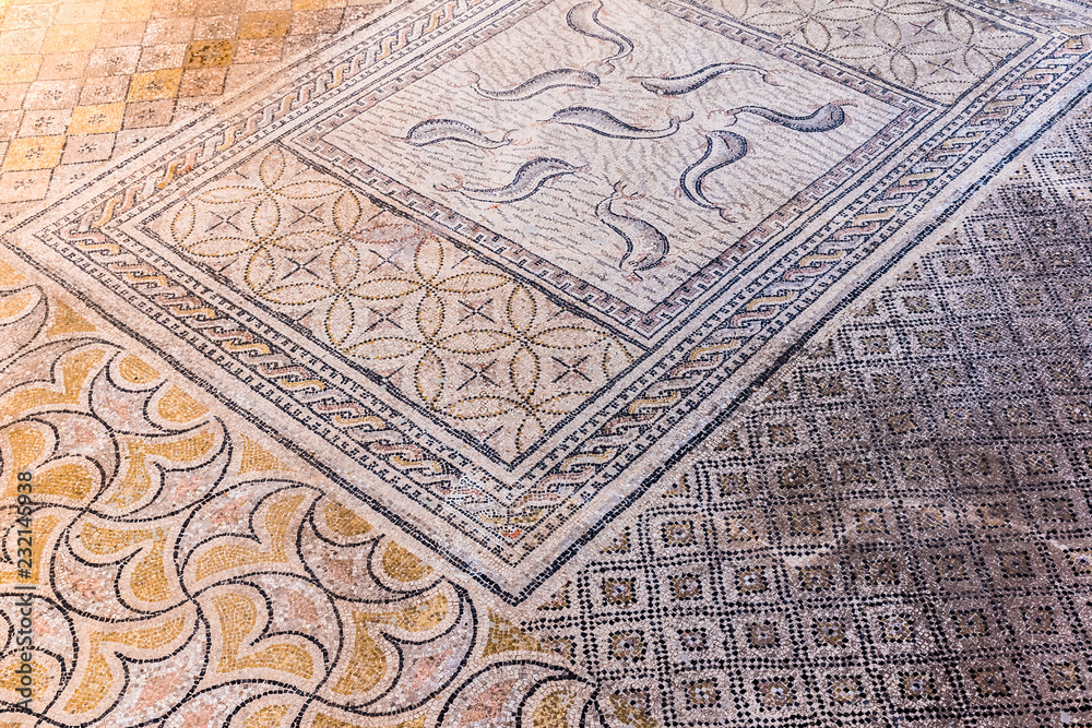 Beautiful Ancient Mosaic in Roman ruins of Volubilis, Unesco, Meknes, Morocco