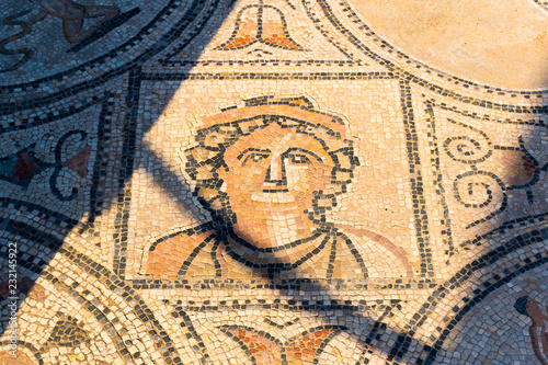 Wallpaper Mural Beautiful Ancient Mosaic in Roman ruins of Volubilis, Unesco, Meknes, Morocco Torontodigital.ca