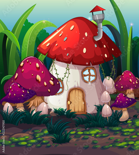 Enchanted magic mushroom house