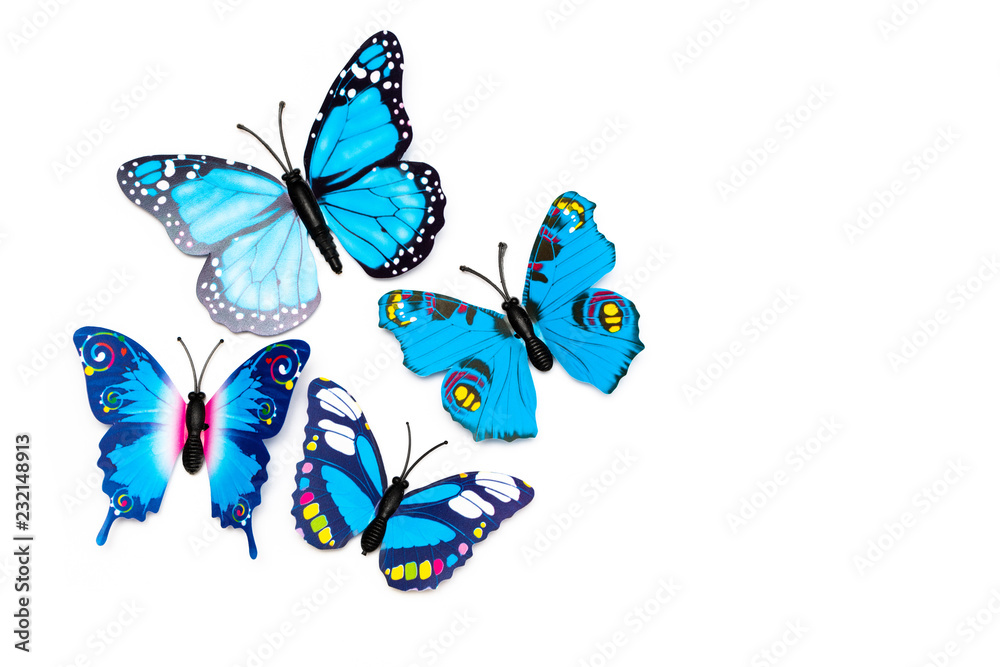 Group of multicolored tropical butterflies isolated on white background