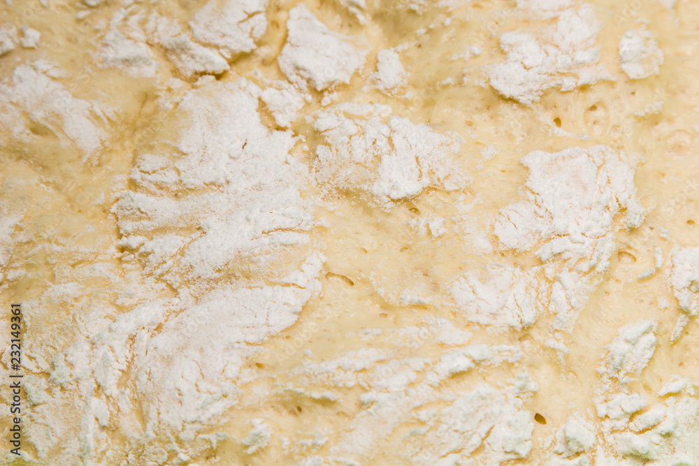 the texture of the dough for pies the texture of the dough for pies