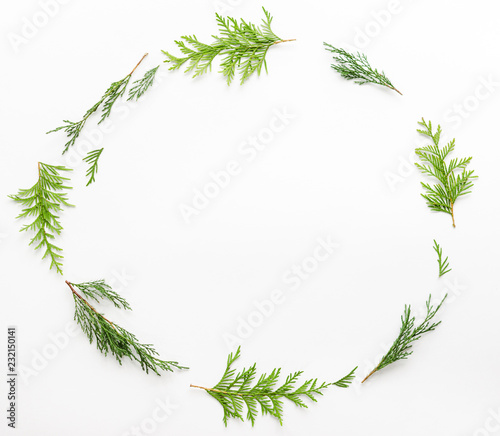 Christmas composition. Fir and thuya tree branches on white background.