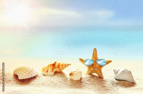 Beach. Summer. Starfish in sunglasses on the seashore.