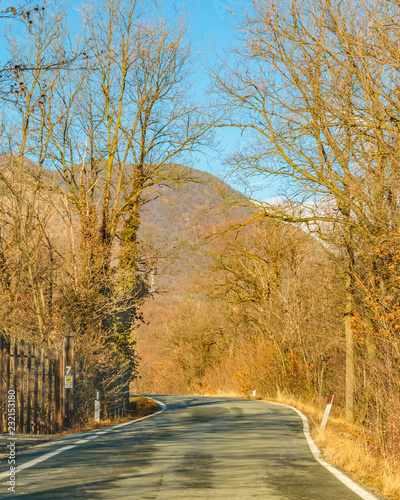 Driver Point of View at Route of Piamonte District, Italy photo