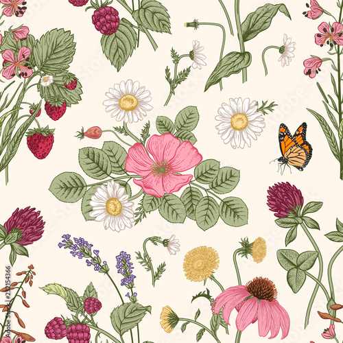 Seamless pattern with wild herbs. Vector illustration.