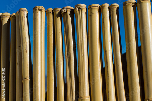 Bamboo Sticks Color