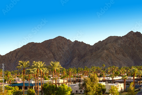 Mountain and palm trees view in Indian Wells, California