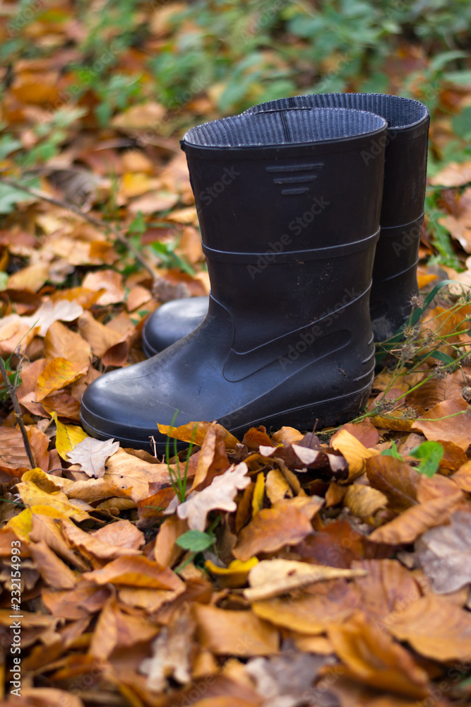 Blue gumboots stand on the ground full of autumn leaves in the forest. Harvest concept - gathering mushrooms in sunny day. Blue watertight, footwear for household and agricultural work