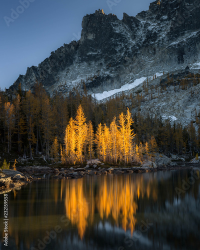 Scenic view of mountain with trees reflecting in lake
